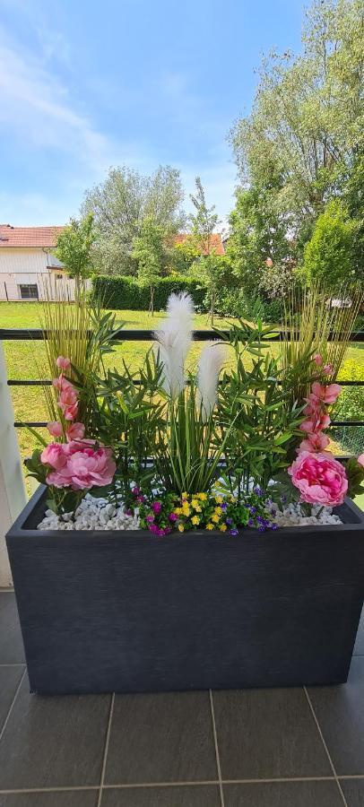 Le Cocon Du Leman Apartment Viry  Luaran gambar