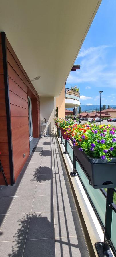 Le Cocon Du Leman Apartment Viry  Luaran gambar