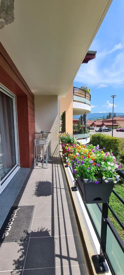 Le Cocon Du Leman Apartment Viry  Luaran gambar