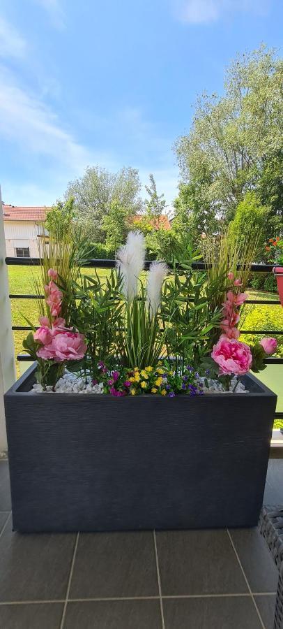 Le Cocon Du Leman Apartment Viry  Luaran gambar