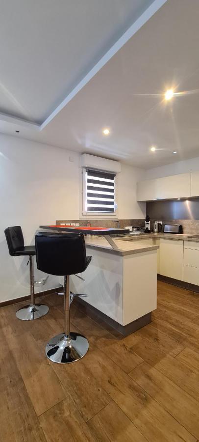 Le Cocon Du Leman Apartment Viry  Luaran gambar